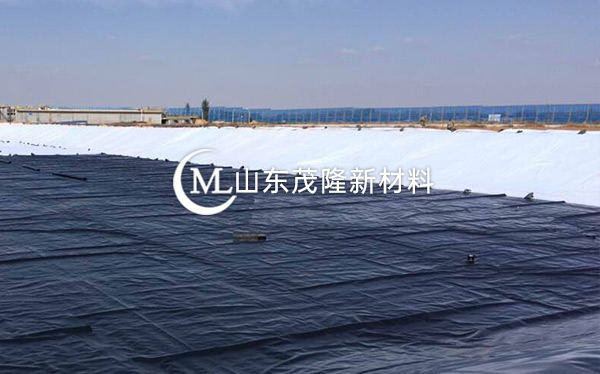 《衡水主城區生態修復工程》土工布、復合土工布施工