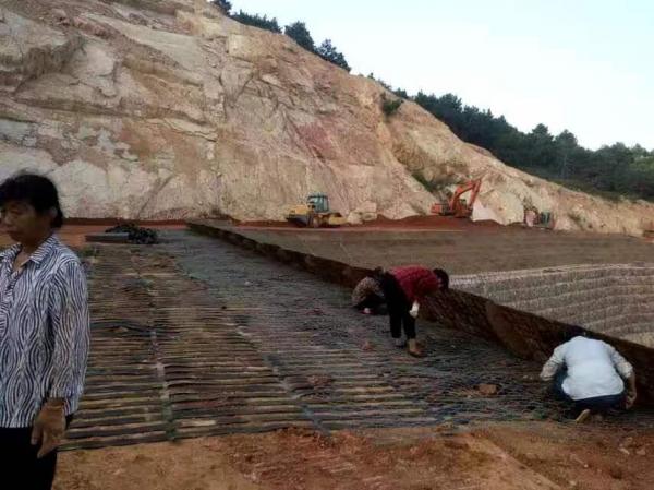 怎么提高高韌性聚酯紗線集束土工格柵的強度 第1張